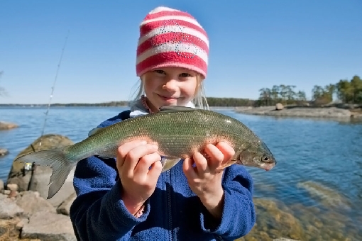 красивые в каких реках финляндии водится рыба меня знакомая говорит