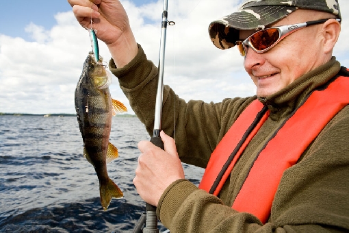 En verano, las percas merodean por las aguas superficiales de las zonas centrales de los lagos, donde se consiguen buenas capturas con la pesca a la cacea.