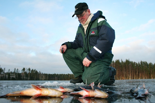 Na małych jeziorkach, najlepszy okres łowienia przypada w dniach pojawienia się na wodzie błyszczącyh pierwszych lodów. 