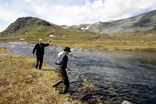 Die Flüsse Nordwestlapplands sind die erste Wahl für Angler, die große Äschen fangen wollen.