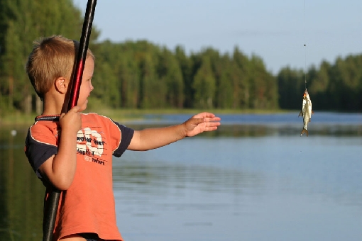 Latem najpewniejszą metodą na płocie jest wędkowanie spławikowe. Jezioro Ruokovesi, Heinävesi.