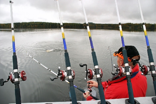 Le lac Keurusselkä est réputé pour ses gros brochets.