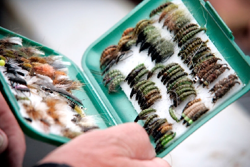 You should have enough options in your fly box.