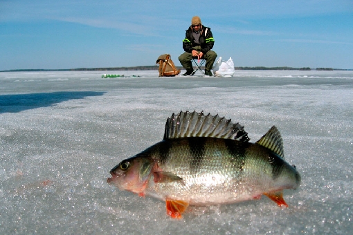 Der Spätwinter ist die beste Saison für das Eisfischen.