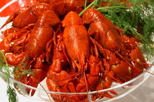 Crayfish are boiled in brine with dill for about 10 minutes.