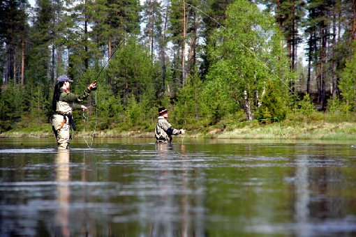 A la pesca del tímalo en el río Kairijoki, Savukoski.