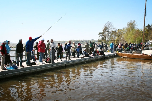 Le Marathon de pêche d'Helsinki, baptisé 