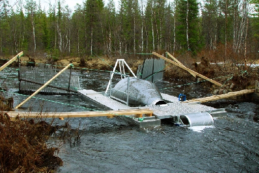 Obrotowa pułapka monitorująca na rzece Pakajoki, dopływie Tornionjoki, służy do badania wielkości populacji narybku wędrownego morskiej troci migrującej do morza.