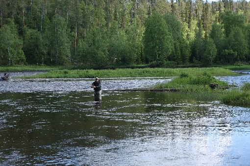 Fishing with dry fly on River Kuusinki.