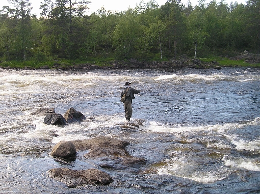Juutuanjoki est le lieu des pêcheurs à la mouche.