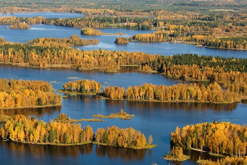 Złota fińska jesień w najlepszym wydaniu nad jeziorem Ullavajärvi, Pohjanmaa.