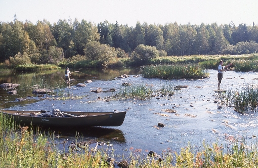 Le canoë permet d'atteindre les rapides plus isolés où il y a peu de pêcheurs.