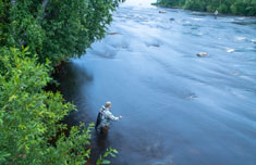 Potok Keihärinkoski przepływający w pobliżu Huopana, pachnie mocno pstrągiem.