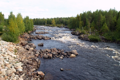 Бурлящие воды порога Викакёнгёс на реке Рауданйоки, популярное зарыбленное место ловли в северной части Рованиеми.