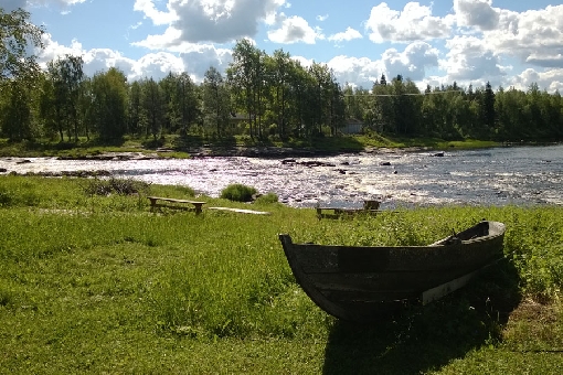 Stromschnelle Kynkäänkoski im Livojoki, dem Nebenfluss des Iijoki.
