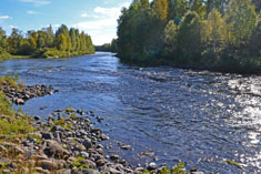 Potok Vääräkoski. Rzeka Näljänkäjoki.