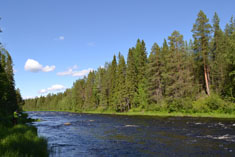 Les rapides de Korpikoski, rivière Korpijoki.