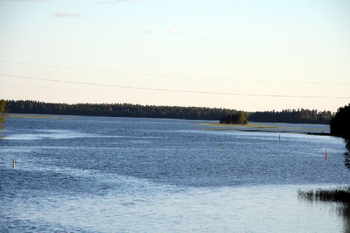 Nilakka zählt zu den besten Zandergewässern der Provinz Nordsavo. Zudem begünstigen seine flachen Ufer mit üppigem Schilfbewuchs den Zuwachs von Hecht.