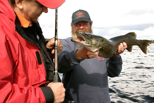 El lago Suur-Saimaa, un excelente lugar para la pesca del lucio.