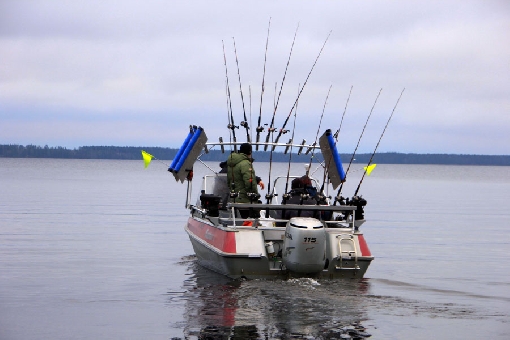 À la fin de l'automne, les pêcheurs à la traîne pêchent la truite de lac avec l'appât avec des têtes pour divers leurres souples.