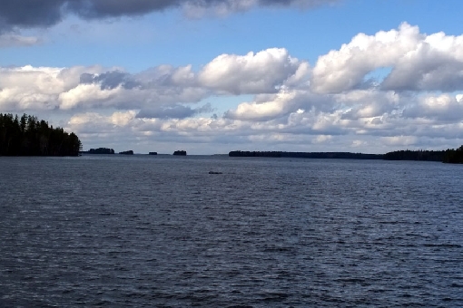 Długie tonie północnej części jeziora Konnevesi.