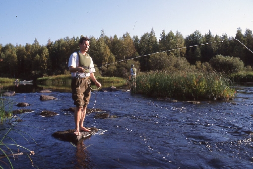 На реке Кииминкийоки любитель ловли нахлыстом может встретиться с рыбой своей мечты.