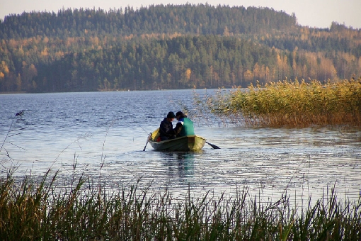 Zatoka Sammallahti w okolicach Jämsä obfituje w wielkie szczupaki.
