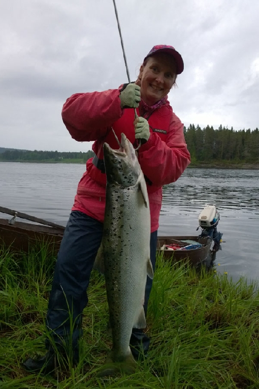 10 kilos, one meter and silver flanks. River Tornionjoki is the most productive salmon river in the Baltic Sea area.
