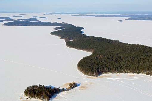 Wyspa Kalvenne w Parku Narodowym Päijänne.