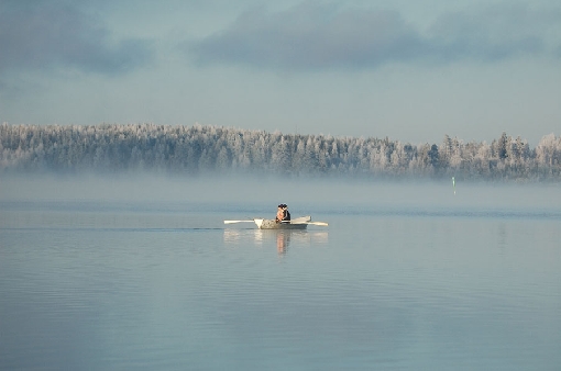 En un helado día de noviembre, los salmónidos se mueven cerca de la superficie. Canal de Hännilänsalmi, lago Keitele Superior.