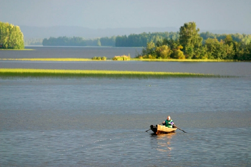 В мелководных заливах северной части озера Хёютияйнен водится много щуки. Залив Рауанлахти в Селькясалми.