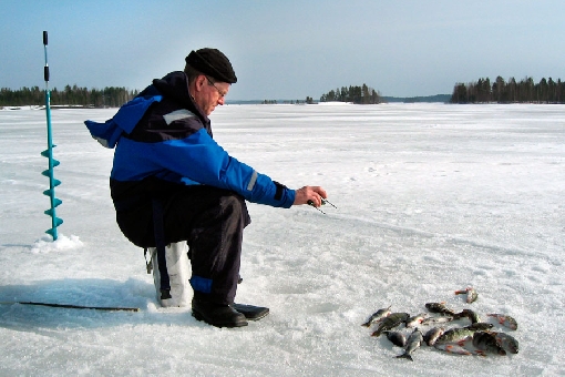 В водах Кууссааренселькя озера Хёютияйнен на глубине 12−13 метров хорошо ловится сиг и окунь.