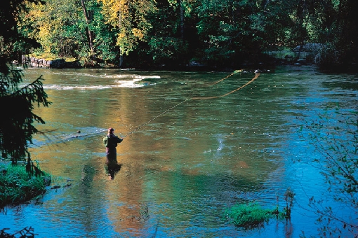 Na potoku Siikakoski można łowić wędką muchową również w okresie wysokiej wody.
