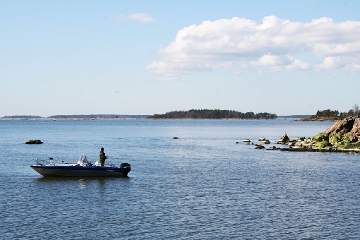 Красивый архипелаг Хельсинки богат рыбными запасами.