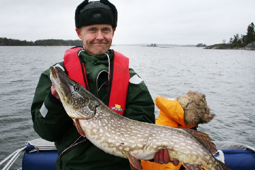Wody wokół Dragsfjärdu są zróżnicowane i niezwykle bogate w ryby.