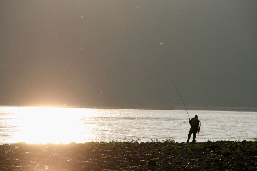 Combat entre pêcheur et saumon à l'embouchure de la rivière Tsulloveijoki, dans les tronçons supérieurs de la rivière Teno.