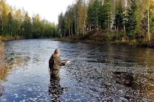 Río Kynäsjoki, Pomarkku.