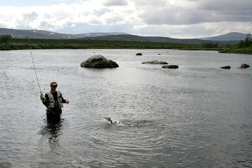 Grayling angler in the wilderness of Northern Lapland.