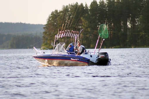La pêche du sandre à la traîne dans la partie nord du lac Kallavesi.
