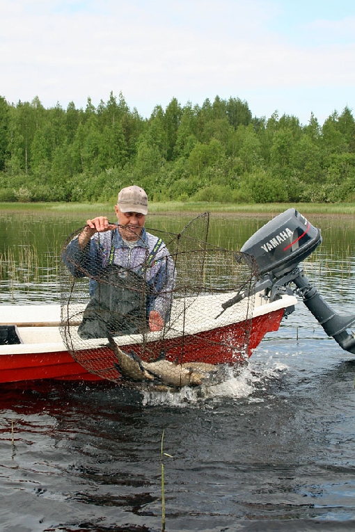 Die Fischreuse, eine beliebte Fangmethode des Freizeitangelns, eignet sich im März gut auch für Brassenfang.