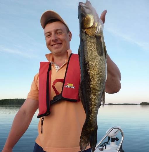 Peak season for zander is now on – also other species bite lures