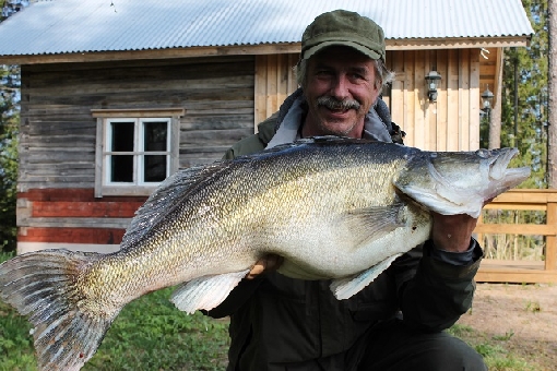 Finnish record zander 14.095 kg 