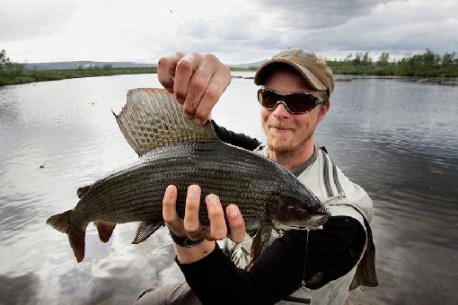 Rivière Rommaeno est le lieu par excellence pour pêcher l'ombre. Enontekiö.