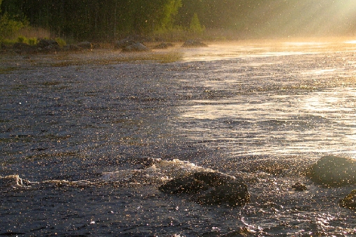 Mariposas de agua en Tervon Äyskoski, Tervo.