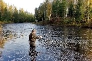 Der Fluss Kynäsjoki, Pomarkku. ( Jari Salonen)