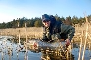 The most funniest way to catch pike is fish from shallow waters. (Teemu Koski)