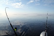 Trolling är den vanligaste metoden för fiske efter öring i de stora sjöarna. Enare träsk. (Ismo Kolari)